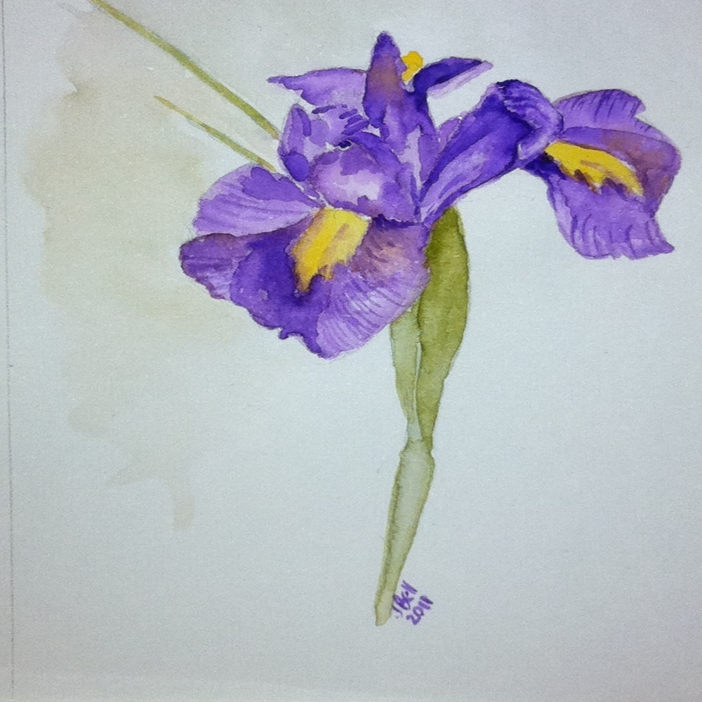 Purple_Iris's avatar